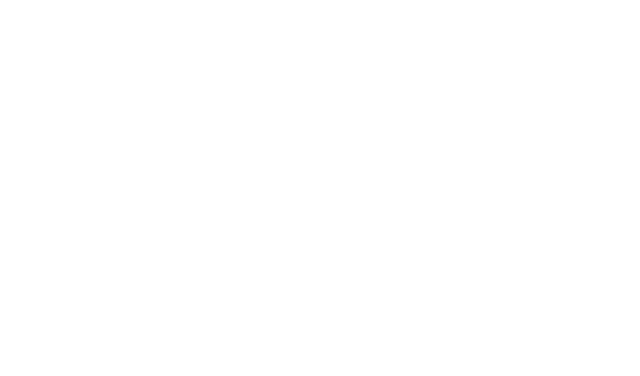 Sokal Group